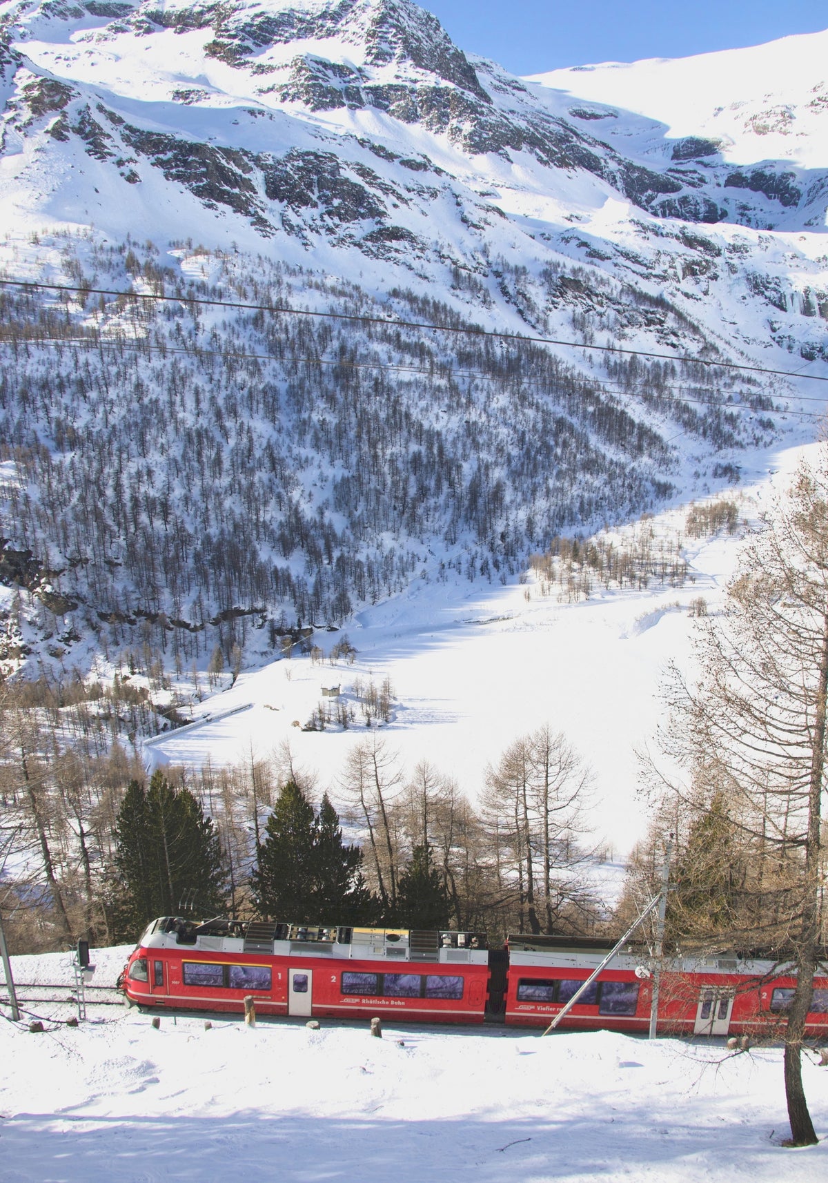 《阿爾卑斯：冰雪中的紅色血脈》 | 《The Alps: A Red Bloodline Through Ice and Snow 》
