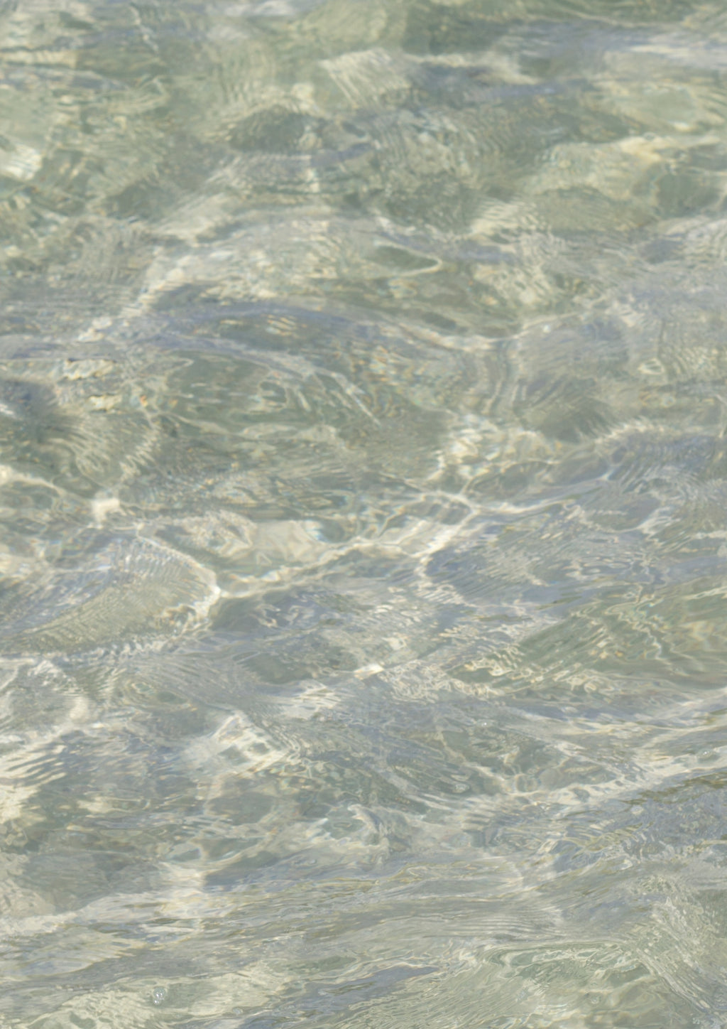 《海洋之靜：濃綠》| 《Oceanic Calm: Thick Green 》